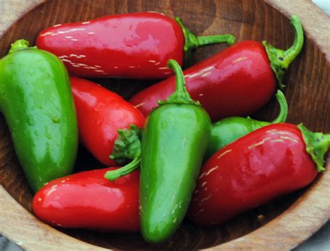 hot peppers photos